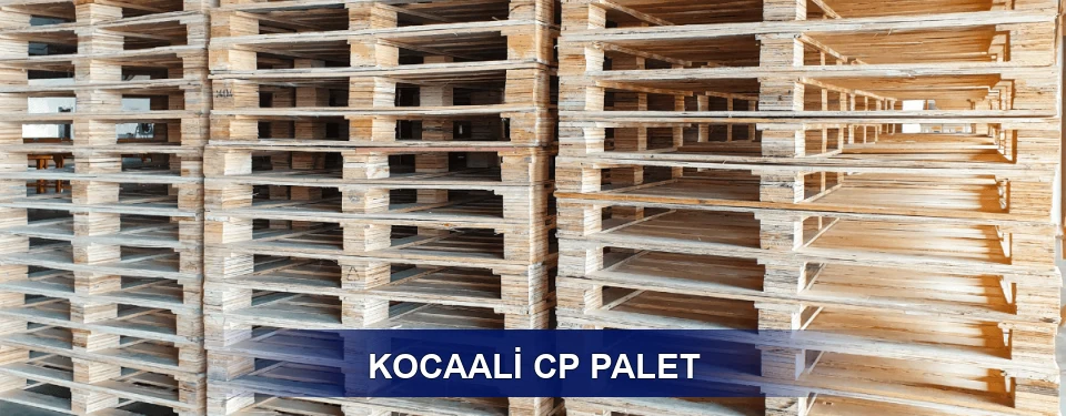 Kocaali Standart Tipler