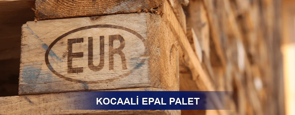 Kocaali Standart Yapı