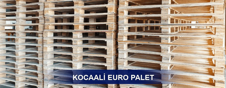 Kocaali Depo Kullanımı