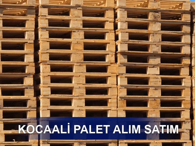 Kocaali Palet Galeri 3