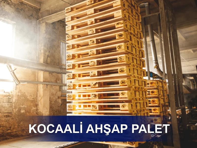 Kocaali Palet Galeri 4