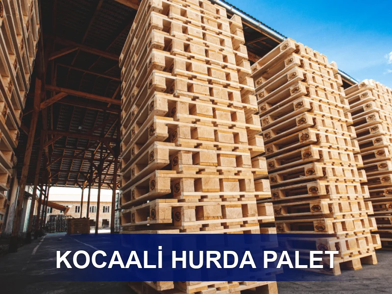 Kocaali Palet Galeri 5