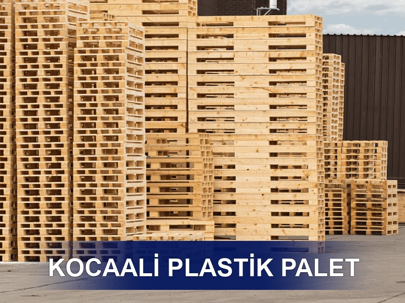 Kocaali Palet Galeri 6