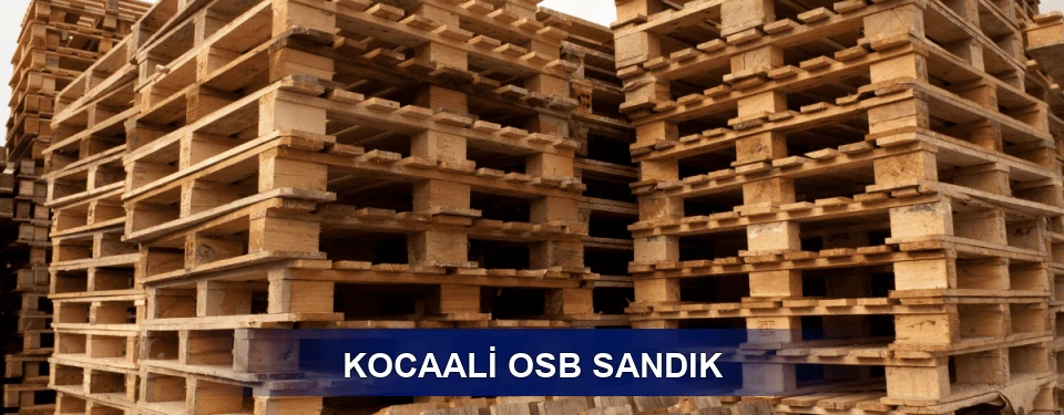 Kocaali Ölçü Planı