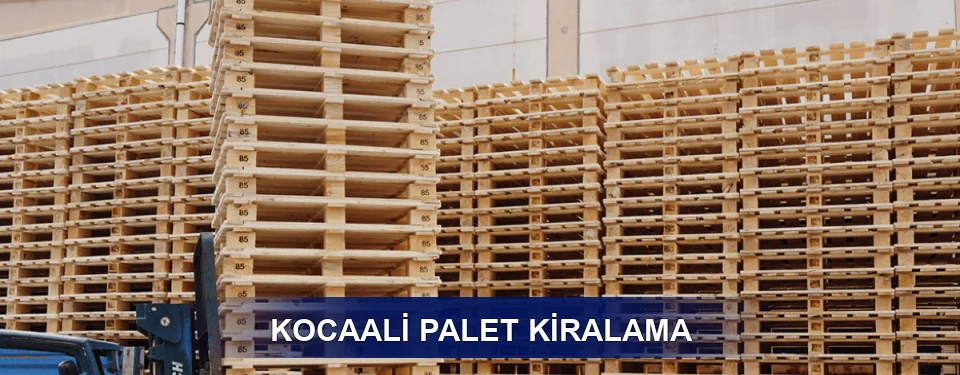 Kocaali Uzun Dönem
