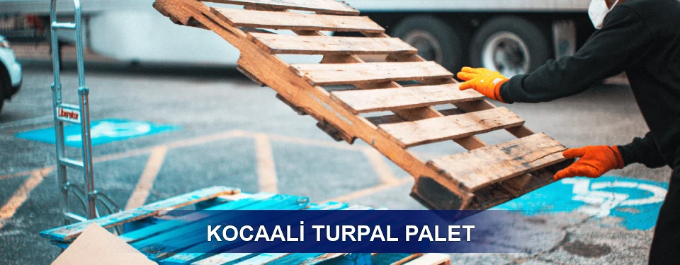Kocaali Market Uyumu